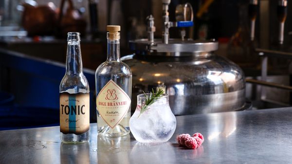 Hallontonic