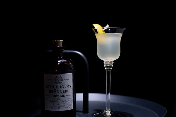 DRY MARTINI